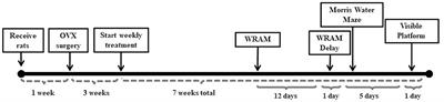 Poly(lactic-co-glycolic Acid) Nanoparticle Encapsulated 17β-Estradiol Improves Spatial Memory and Increases Uterine Stimulation in Middle-Aged Ovariectomized Rats